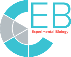 EB 2020 logo CMYK